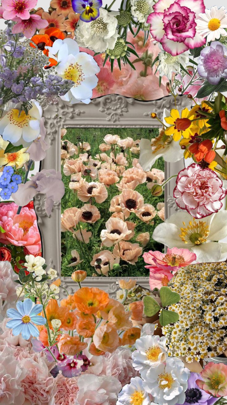 Blooms Through the Seasons: A Seasonal Flower Guide for Every Floral Enthusiast