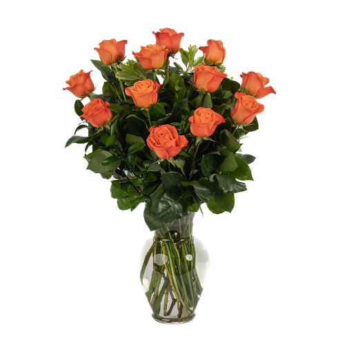 One Dozen Orange Roses