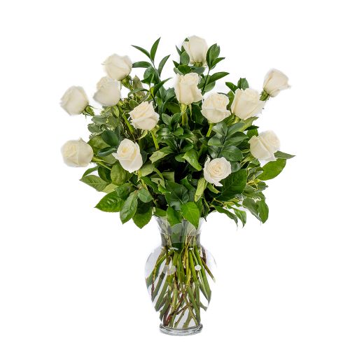 One Dozen White Roses