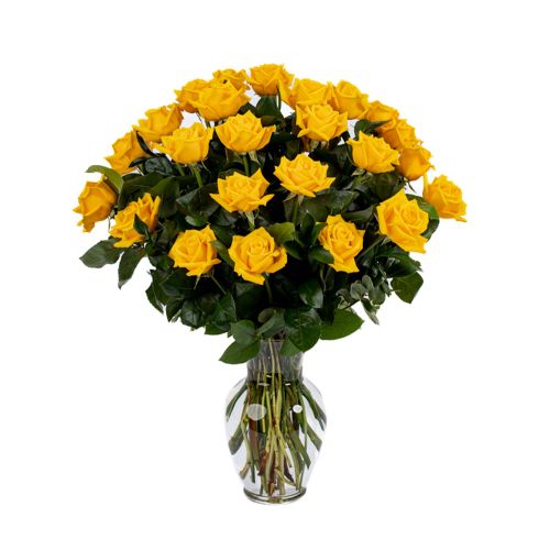 Two Dozen Yellow Roses 