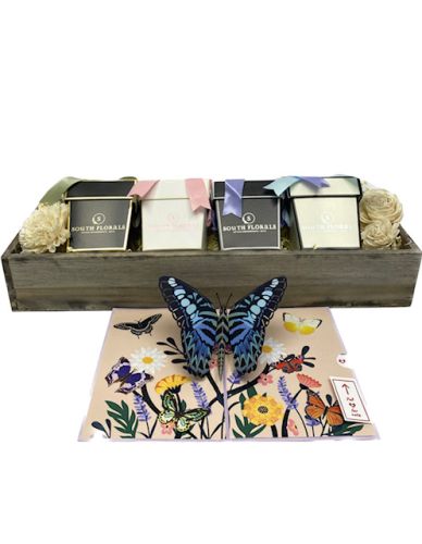 Gift Box of Seda France Candles