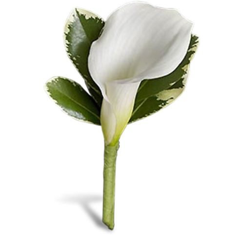 Classic Calla Boutonniere