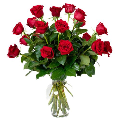 18 Red Roses 