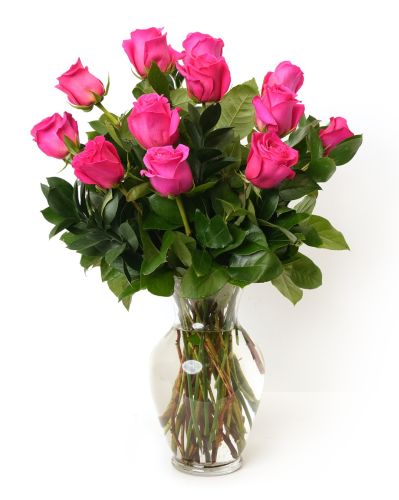 One Dozen Hot Pink Roses