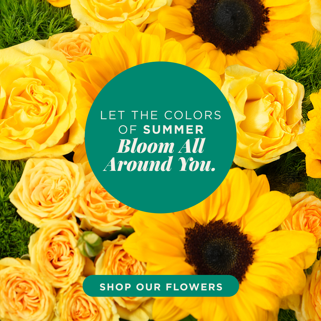 Summer Flowers